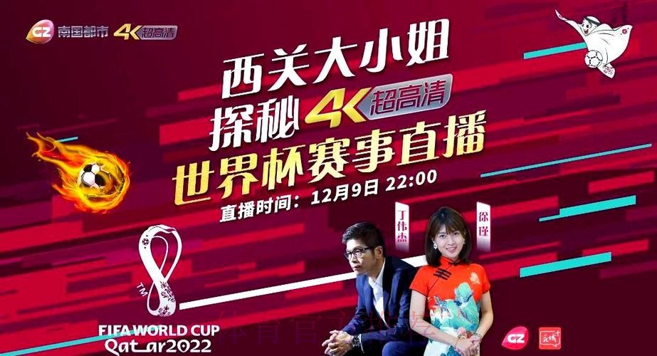 网络直播世界杯盛况解析